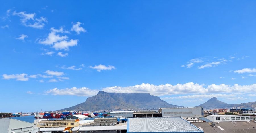 1 Bedroom Property for Sale in Paarden Eiland Western Cape